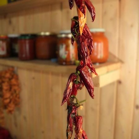 Guesthouse Shtini Fshat Екстериор снимка